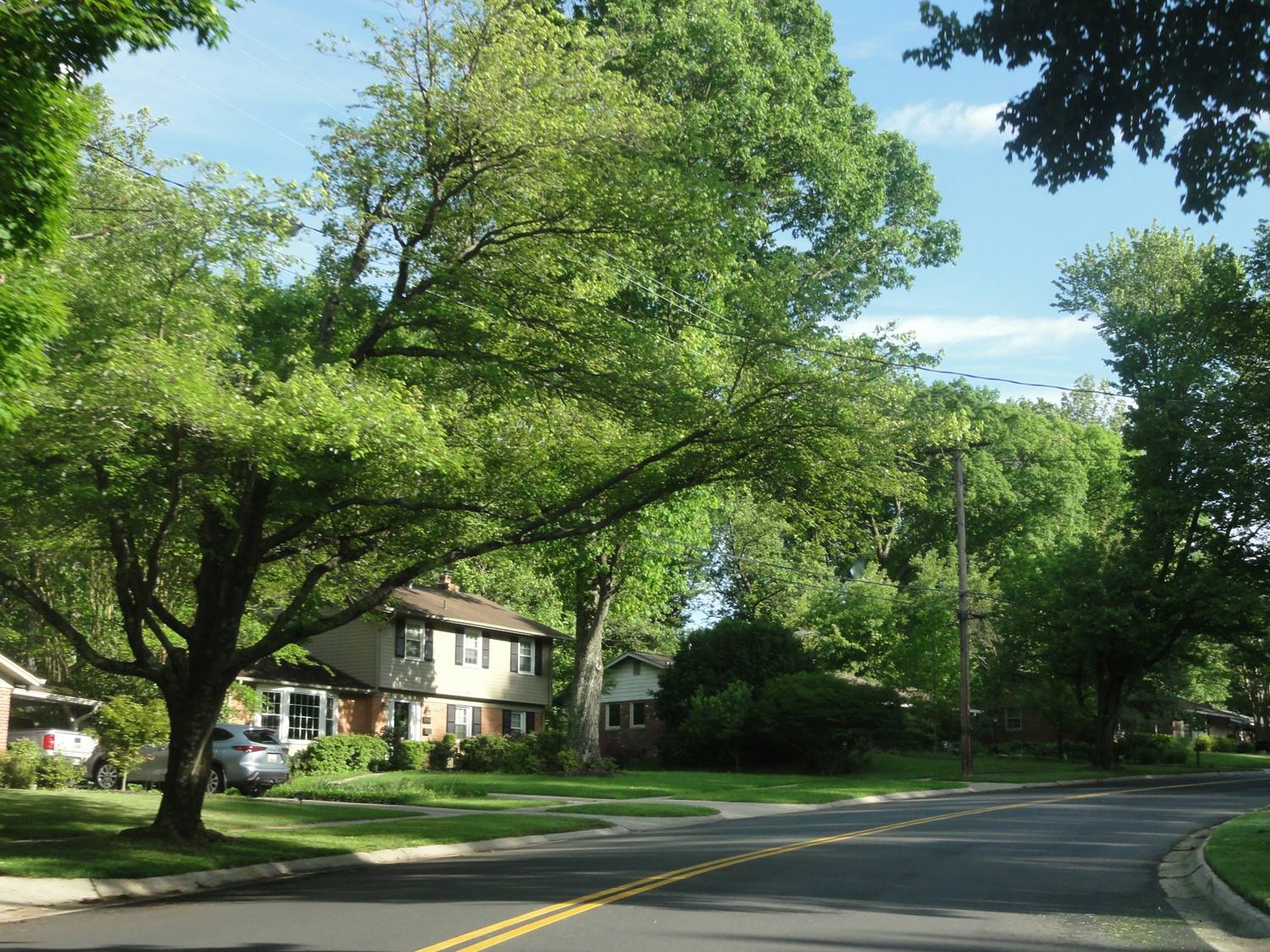 Tree-lined residential street with brick homes